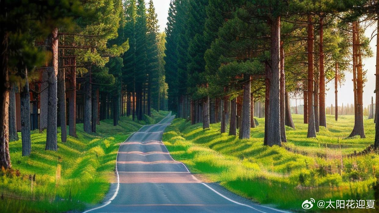 最新线路一，探索自然美景，寻找内心的平和与喜悦之旅