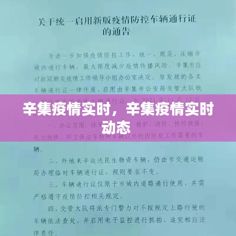 辛集市疫情最新消息及观点论述汇总