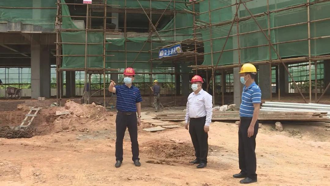 全球疫情下的自然美景之旅，寻找内心的平和与宁静报道最新消息