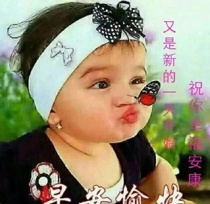 商品车运输 第276页
