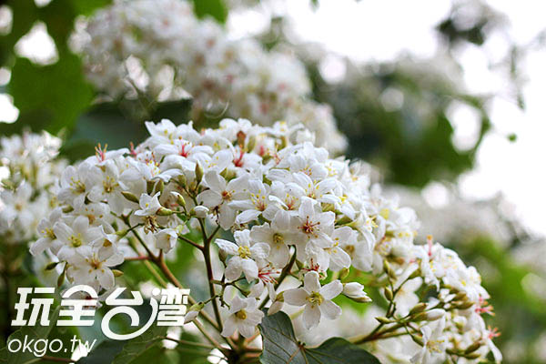 运输服务 第258页