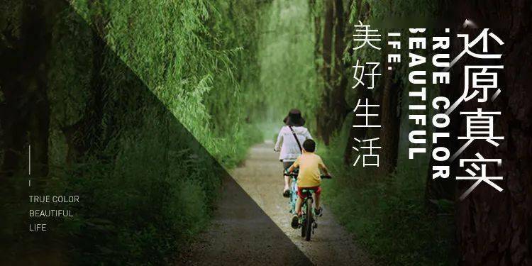 商品车运输 第256页