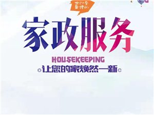 运输服务 第226页