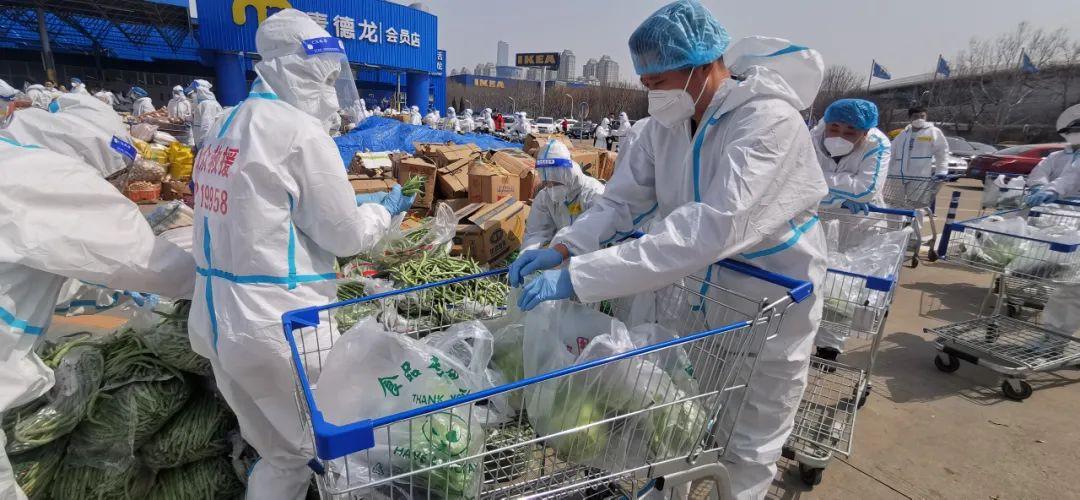 商品车运输 第186页