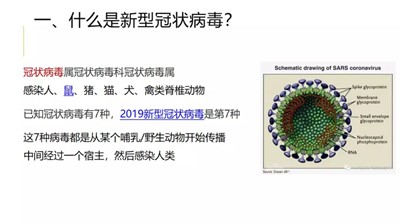 商品车运输 第177页