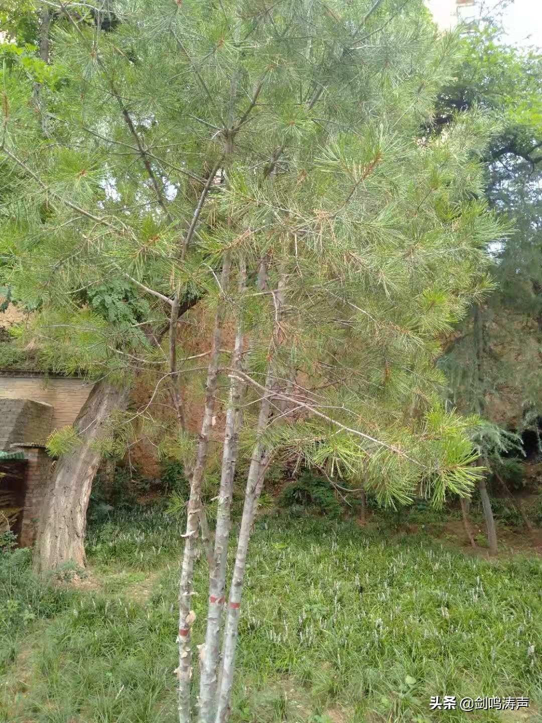 运输服务 第110页