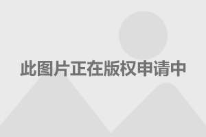 运输服务 第106页