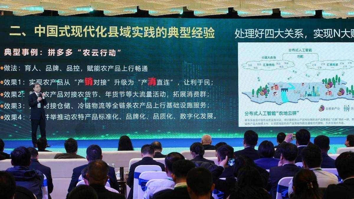 技术发展深度探讨盛会